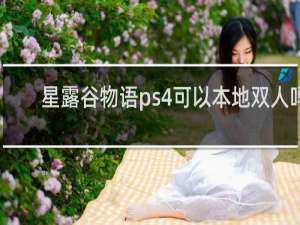 星露谷物语ps4可以本地双人吗