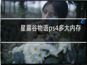 星露谷物语ps4多大内存