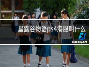 星露谷物语ps4港服叫什么