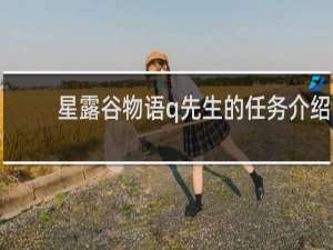 星露谷物语q先生的任务介绍