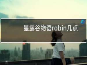 星露谷物语robin几点