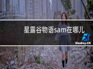 星露谷物语sam在哪儿