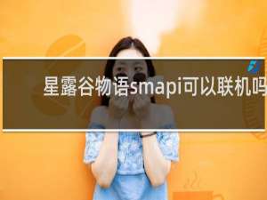 星露谷物语smapi可以联机吗