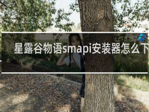 星露谷物语smapi安装器怎么下载