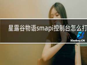 星露谷物语smapi控制台怎么打开