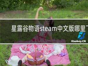 星露谷物语steam中文版哪里下