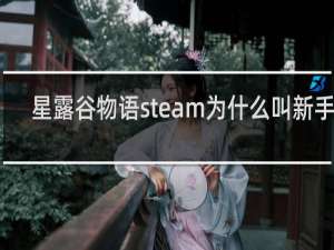 星露谷物语steam为什么叫新手版