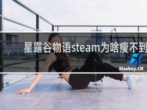 星露谷物语steam为啥瘦不到