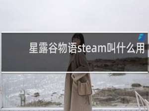 星露谷物语steam叫什么用