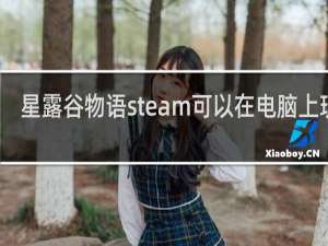 星露谷物语steam可以在电脑上玩吗