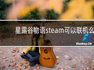 星露谷物语steam可以联机么