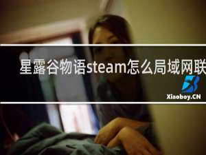 星露谷物语steam怎么局域网联机