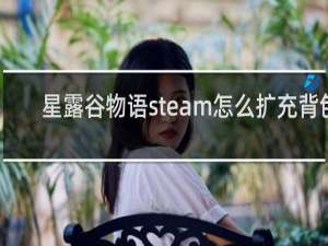 星露谷物语steam怎么扩充背包