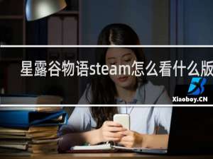 星露谷物语steam怎么看什么版本