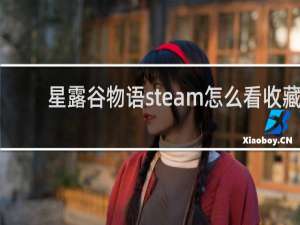 星露谷物语steam怎么看收藏