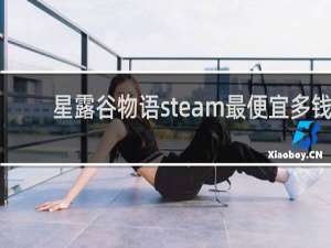 星露谷物语steam最便宜多钱