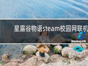 星露谷物语steam校园网联机