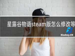 星露谷物语steam版怎么修改等级