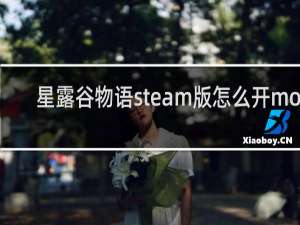 星露谷物语steam版怎么开mod