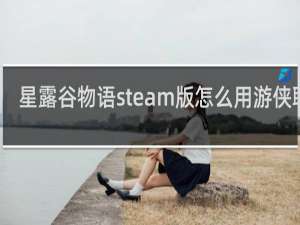 星露谷物语steam版怎么用游侠联机