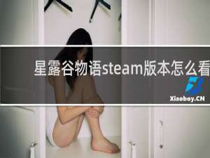 星露谷物语steam版本怎么看