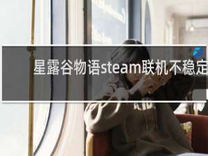 星露谷物语steam联机不稳定