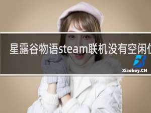星露谷物语steam联机没有空闲位置