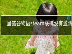 星露谷物语steam联机没有邀请码