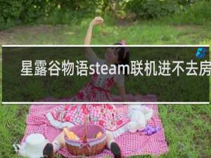 星露谷物语steam联机进不去房间