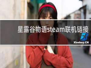 星露谷物语steam联机链接