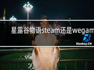 星露谷物语steam还是wegame