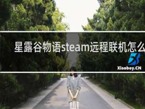 星露谷物语steam远程联机怎么用