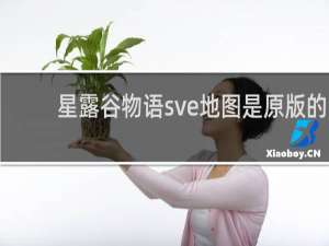 星露谷物语sve地图是原版的