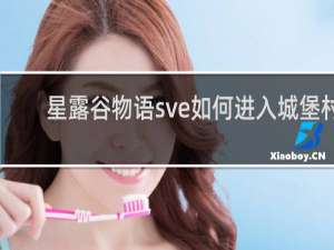 星露谷物语sve如何进入城堡村