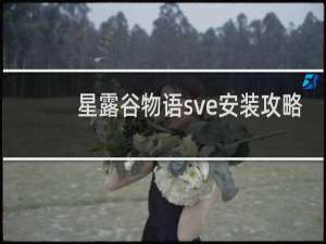 星露谷物语sve安装攻略