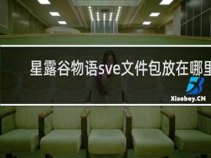 星露谷物语sve文件包放在哪里