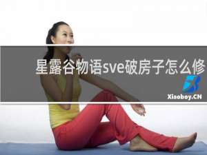 星露谷物语sve破房子怎么修