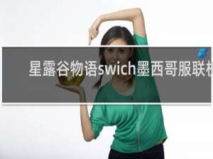 星露谷物语swich墨西哥服联机