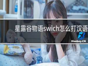 星露谷物语swich怎么打汉语