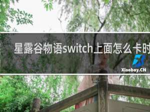 星露谷物语switch上面怎么卡时间