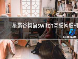 星露谷物语switch互联网联机