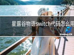 星露谷物语switch代码怎么用