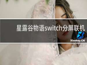 星露谷物语switch分屏联机