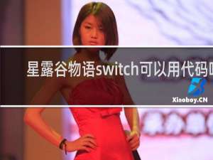 星露谷物语switch可以用代码吗
