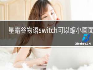 星露谷物语switch可以缩小画面吗