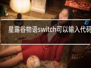 星露谷物语switch可以输入代码吗