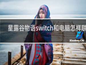 星露谷物语switch和电脑怎样联机
