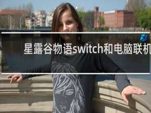 星露谷物语switch和电脑联机