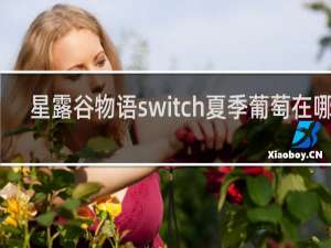 星露谷物语switch夏季葡萄在哪儿