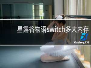 星露谷物语switch多大内存